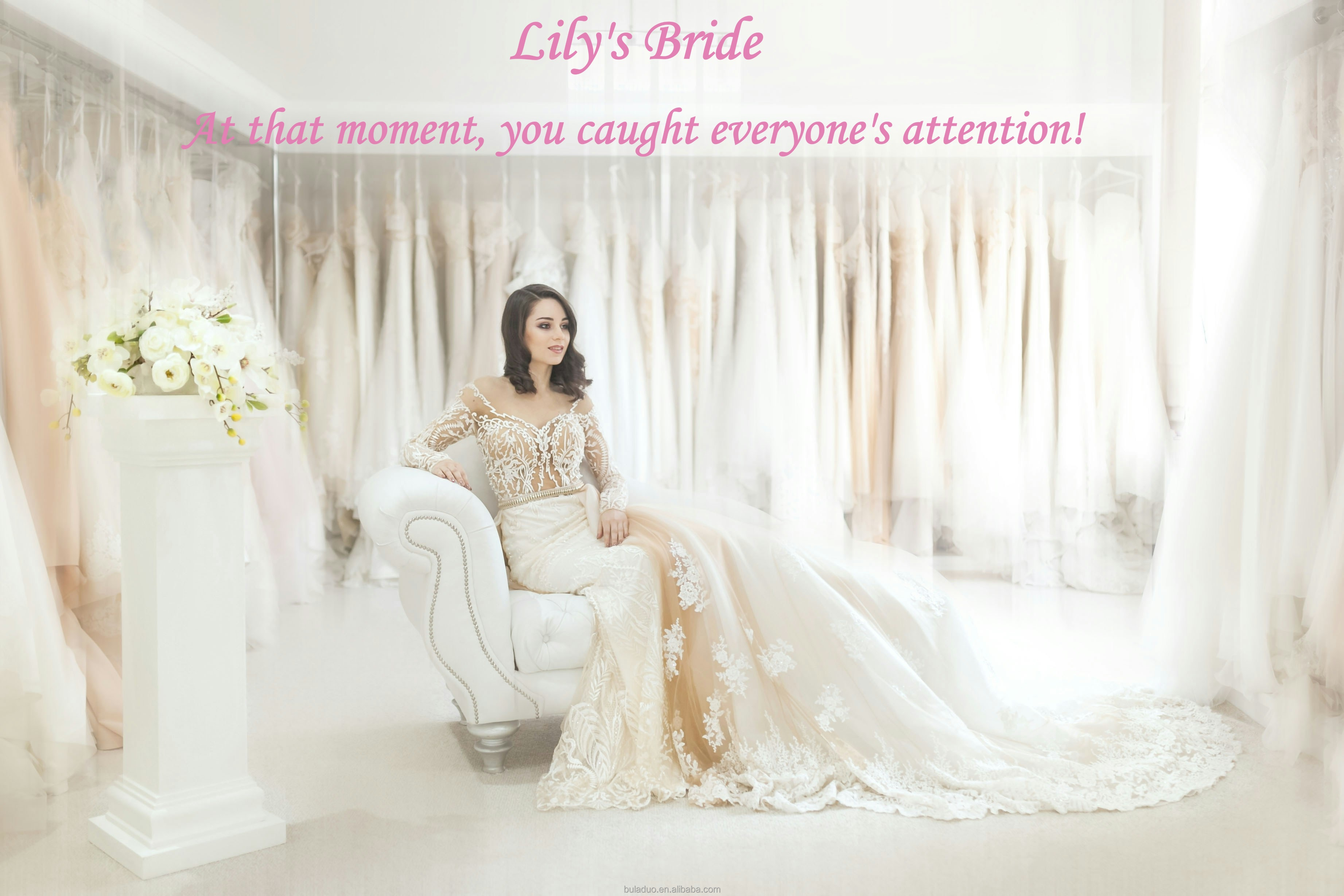 Quinceanera Ball Gown
