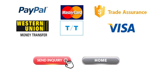 Payment Method 1