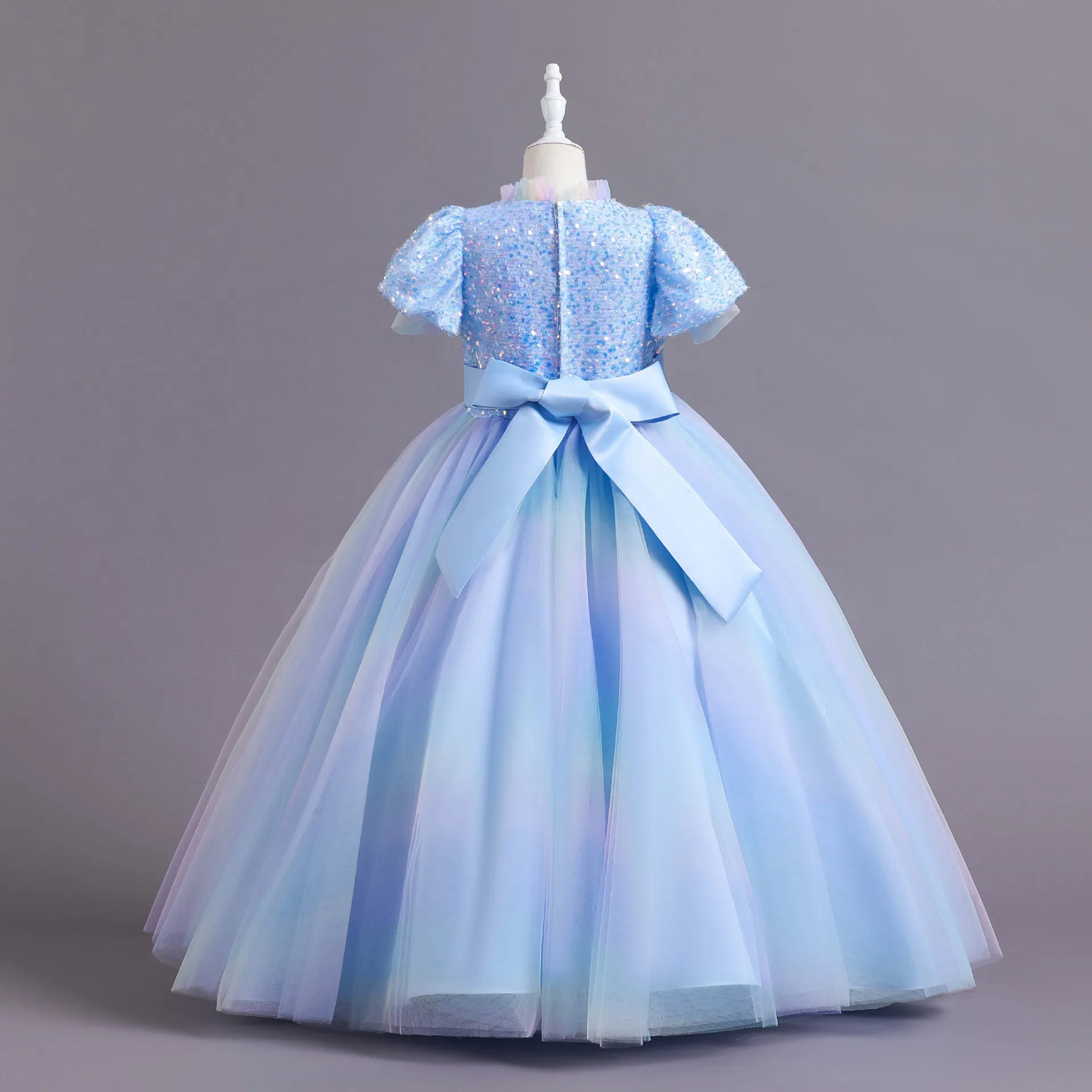 Cute Girl Wear Short Sleeves Party Wear Long Princess Dress