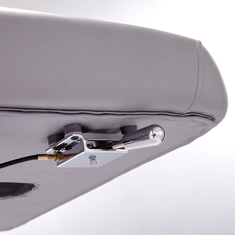 Electric Beauty Micro Reshaping Bed Multi Functions Lifting Embroidery Nursing Massage Medical Injection Dental Bed Modern