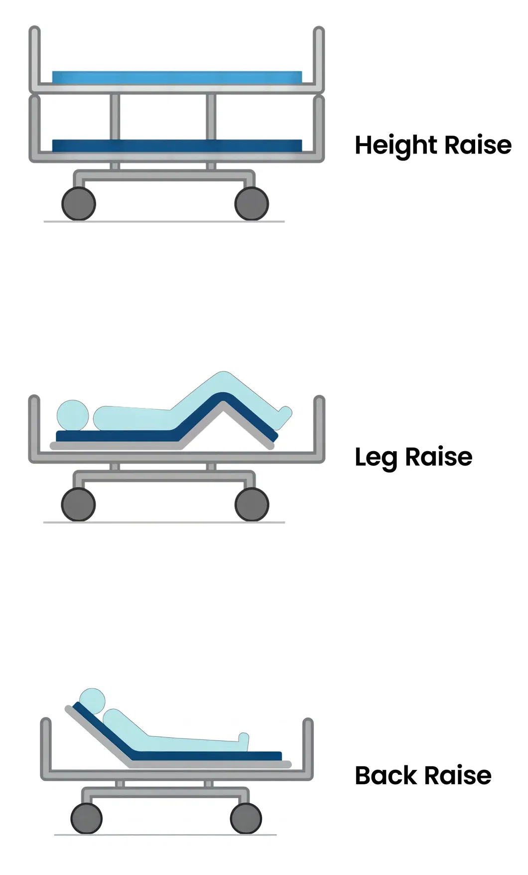 Bed Dimensions