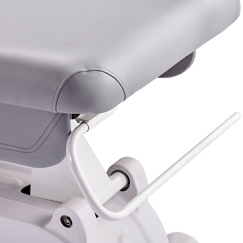 Electric Beauty Micro Reshaping Bed Multi Functions Lifting Embroidery Nursing Massage Medical Injection Dental Bed Modern