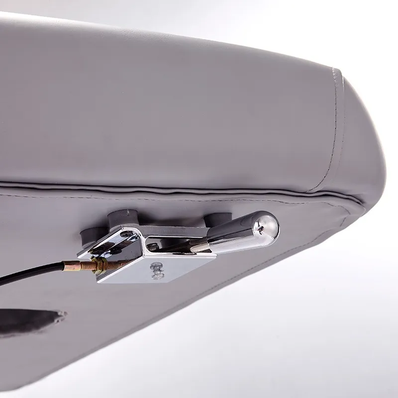 Electric Beauty Bed View 2