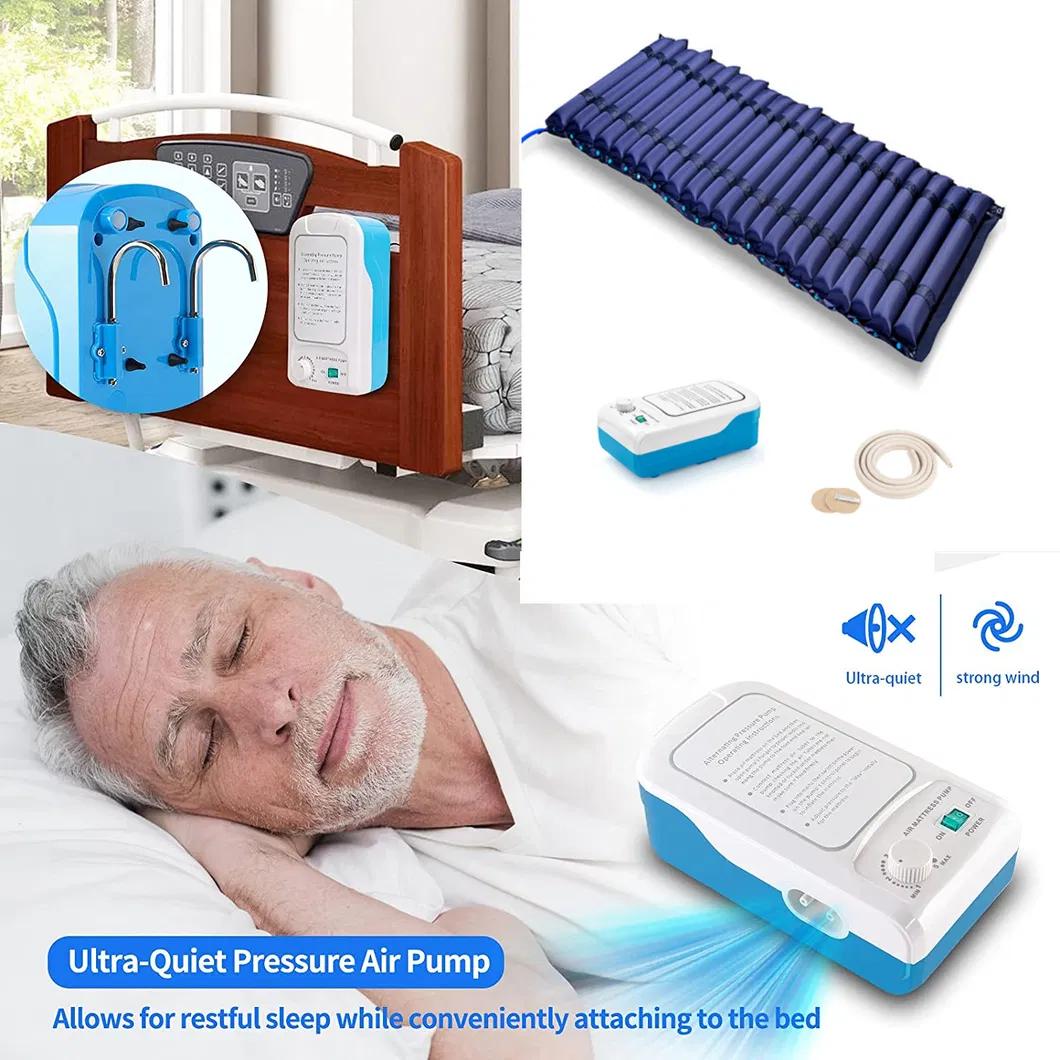 Toilet Hole Design Detail