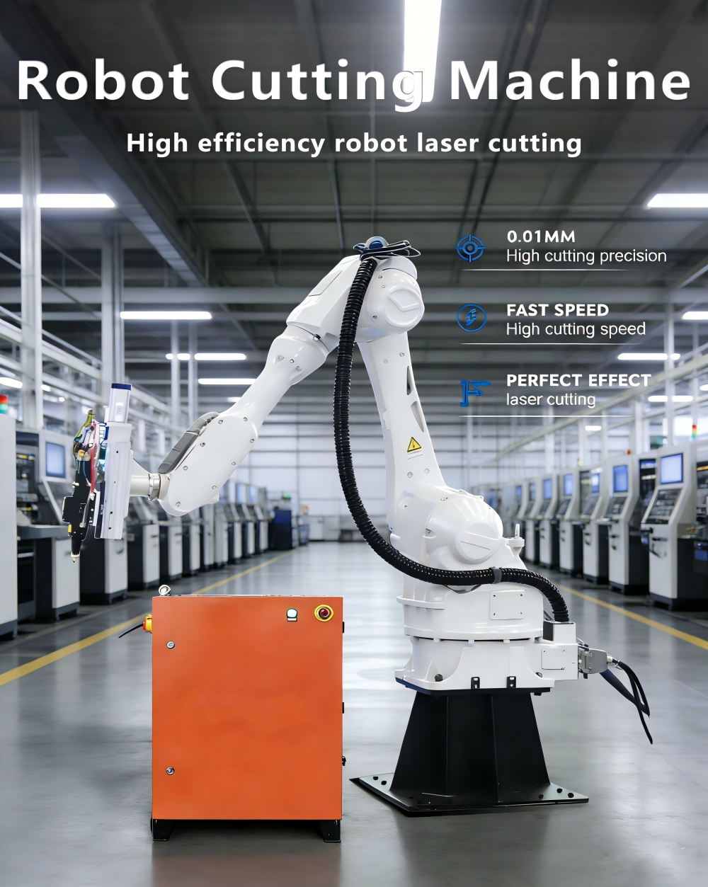 3D Laser Cutting System Display