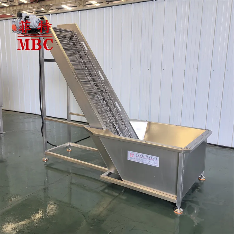 Hoisting Feeding Conveyor