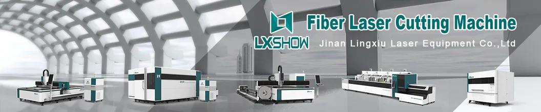 High Quality Fiber Laser Iron Metal Sheet Laser Cutting
