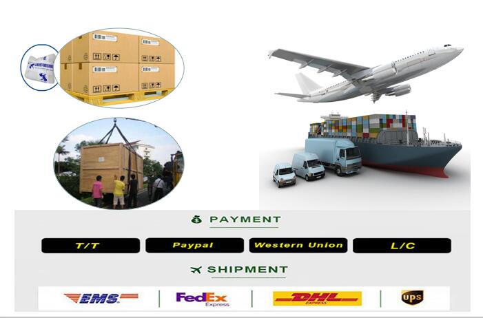 Packaging and Shipping Detail