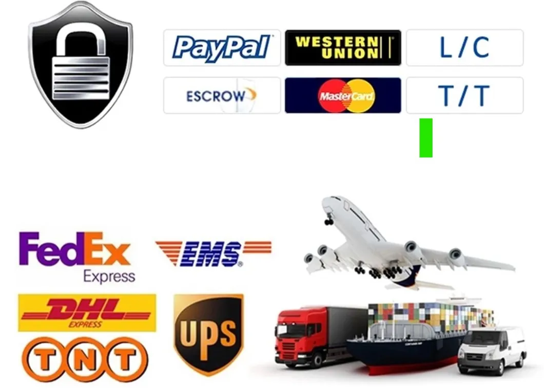 Logistics and Payment