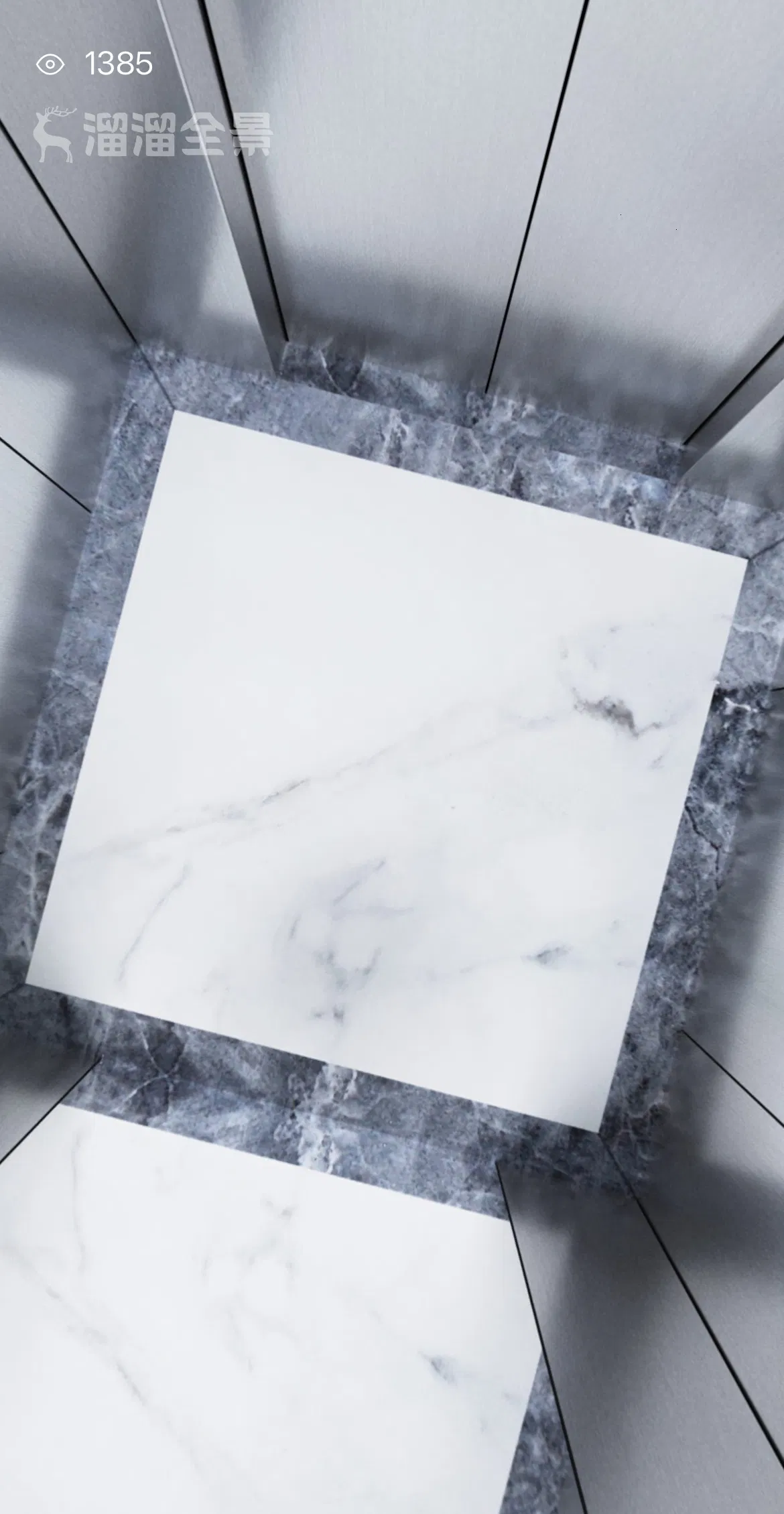 Low-Pit Passenger Elevator for Renovating Old Buildings, 8 Person Capacity