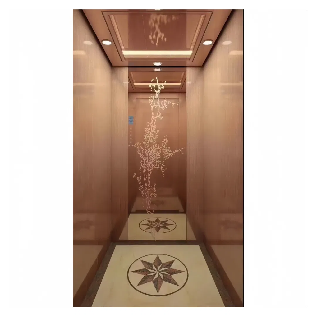 Fujivista Factory Price Pneumatic Vacuum Elevator Luxury Glass Home Lift for Modern Villa
