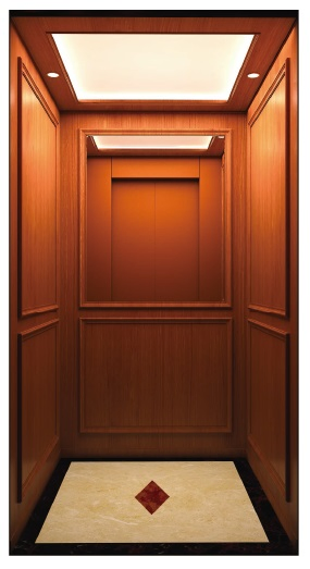 China Passenger Product Panoramic Sightseeing Glass Freight Goods Sightseeing Villa Car House Home Lift Residential Elevator