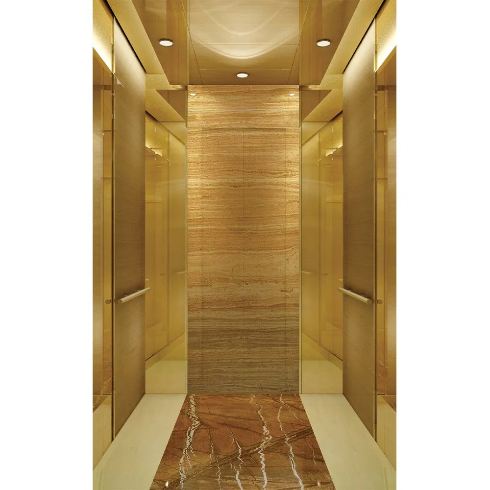 Hyundai Passenger Elevator Price House Customized Residential Lift Elevator