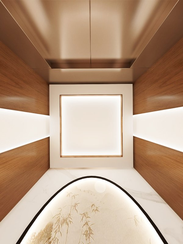 Best Supplier Home Passenger Elevator Lift with High Quality