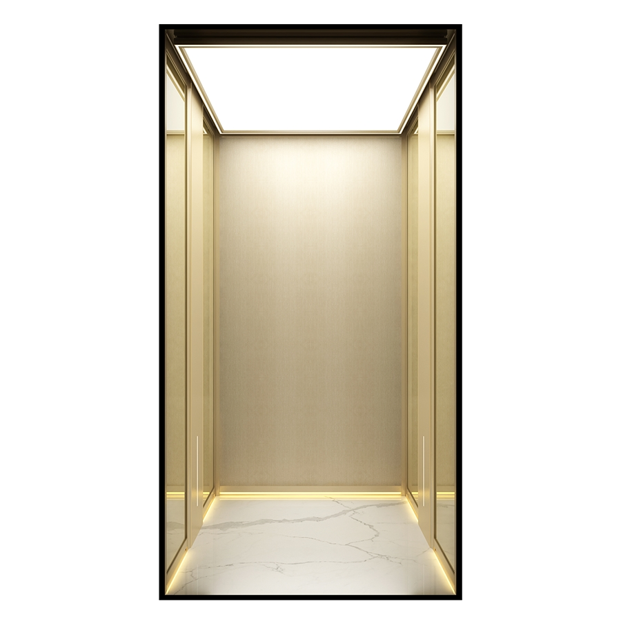 Space-Saving Machine-Room-Less Low-Pit Customized Design Home Villa Elevator