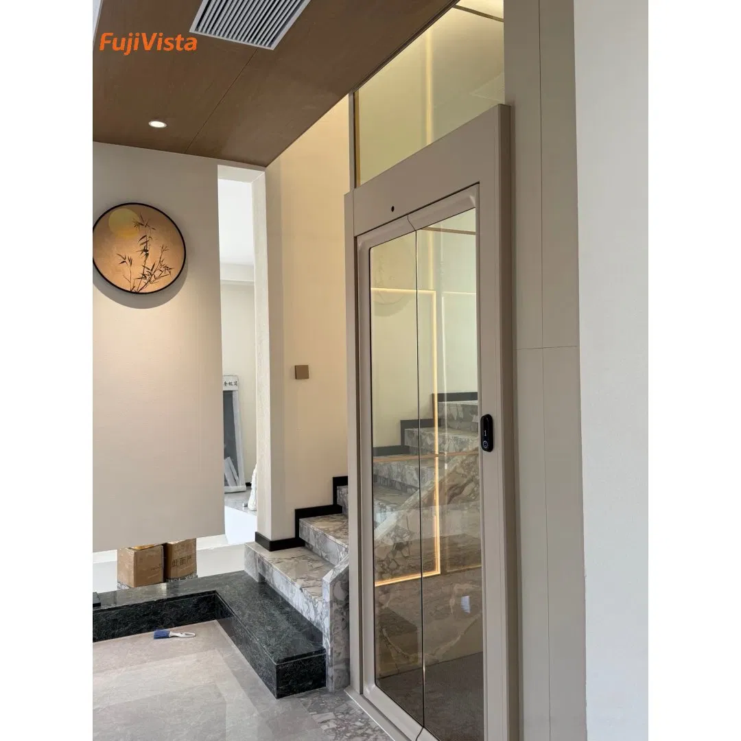 Fujivista Domestic Lifts Mrl Home Elevator Small Villa Lift with Spacious Panoramic Design and Decorative LED Lighting