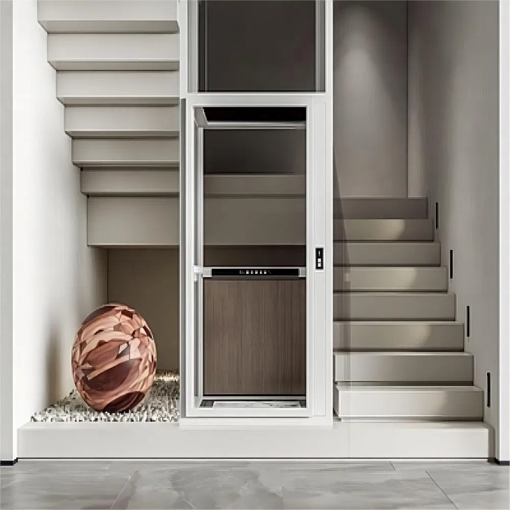 Good Price Home Building Lift Residential High Technology Personal Passenger Elevator Maintenance-Free