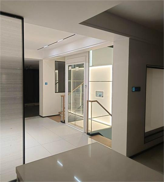 2 Floors with Best Price Hydraulic Home Vertical Traction Villa Panoramic Shaftless Platform Vacuum Passenger Elevator Lift
