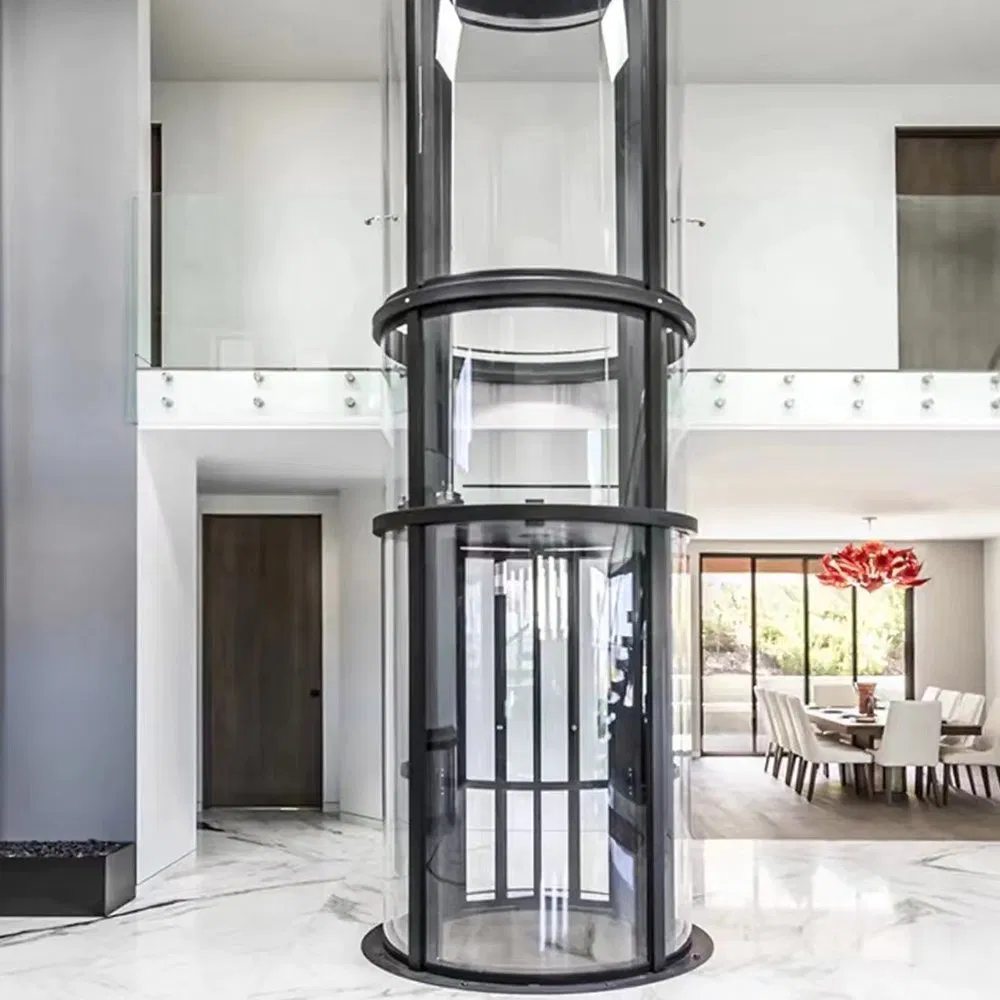 Luxury Panoramic Villa Elevator Indoor Outdoor 400kg~630kg Residential Home Elevator