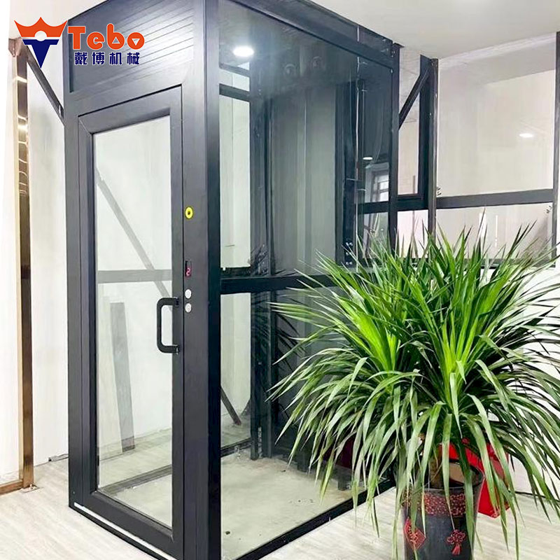 CE 450kg Factory Direct Sale Passenger Home Lift Customized Hydraulic Small Residential Elevator for Villa