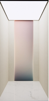 Premium 400kg Rose Gold Stainless Steel Villa Elevator for Luxury Homes