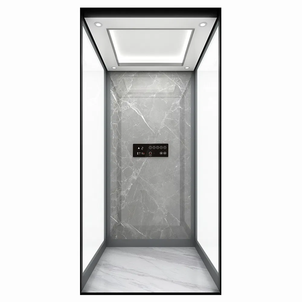 Custom Glass Carriage Home Villa Elevator with Panoramic View Quiet Operation Protection Features