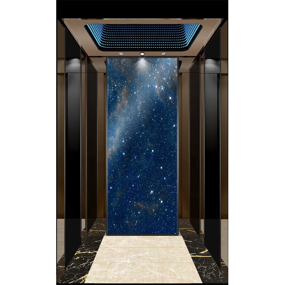 Hyundai Passenger Elevator Price House Customized Residential Lift Elevator