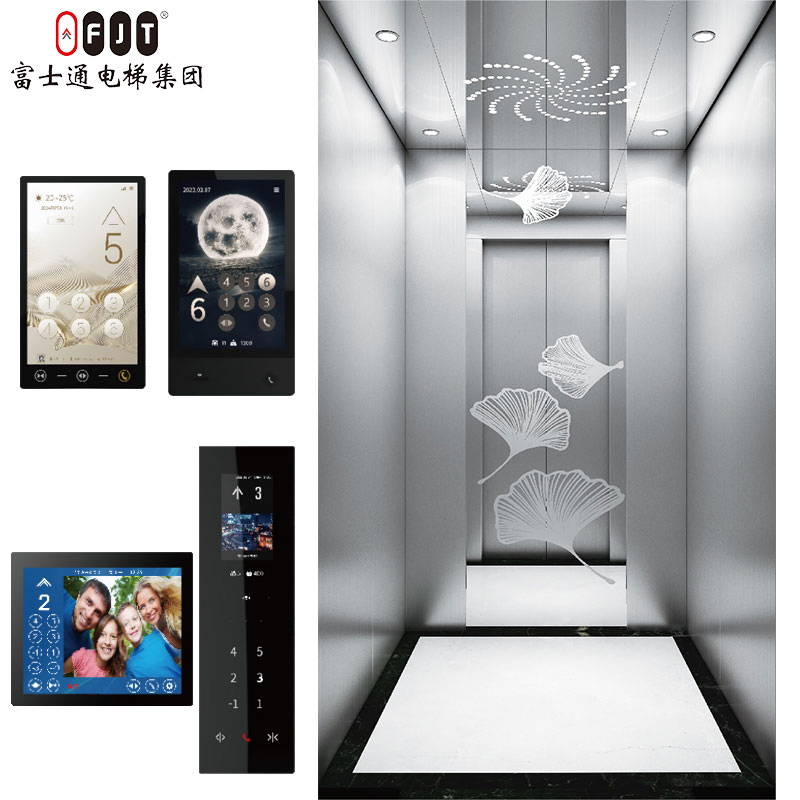 Fujithrough International Certified Home Lift with Small Shaftless Machine Roomless Features Apartment Use