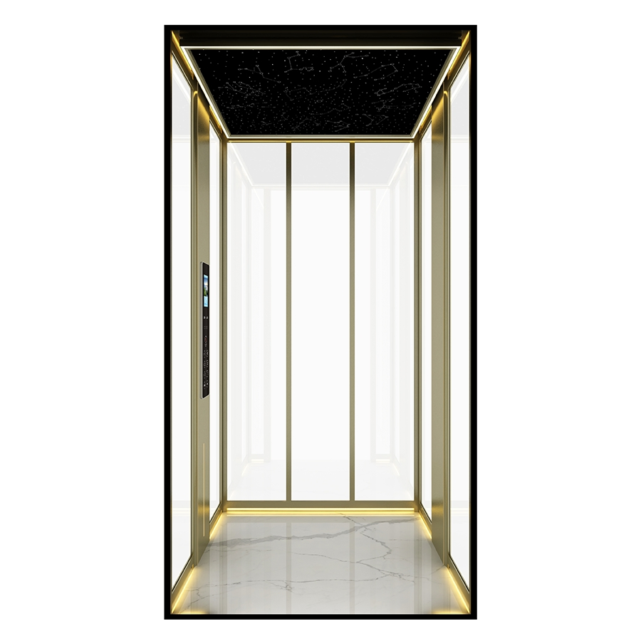 Low Pit Villa Elevator for Renovation - 100mm Pit &amp; No Structure Damage