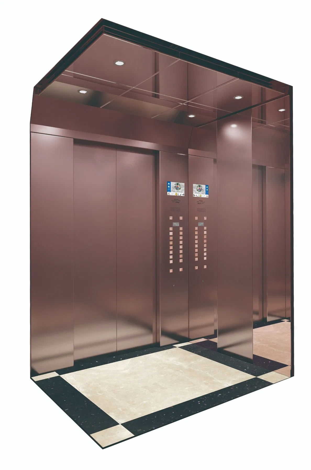 Highend Lift/Luxury Lift/Edunburgh Passenger Elevator China Lift, Suitable for Residence, School, Hotel, Villa