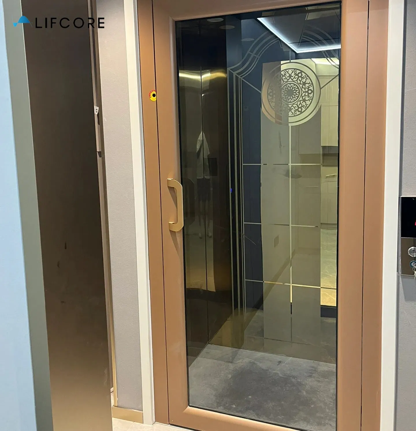 2 Person Residential Elevator Stair Lifts Shaftless Residential Wheelchair Lifts Indoor