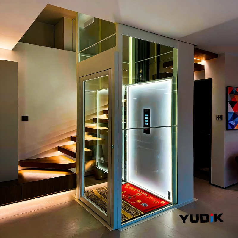 BV Approved Hydraulic Elevator for Old Home with Shallow Pit &amp; CE