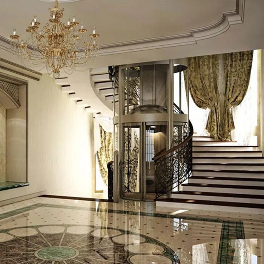 Luxury Panoramic Villa Elevator Indoor Outdoor 400kg~630kg Residential Home Elevator
