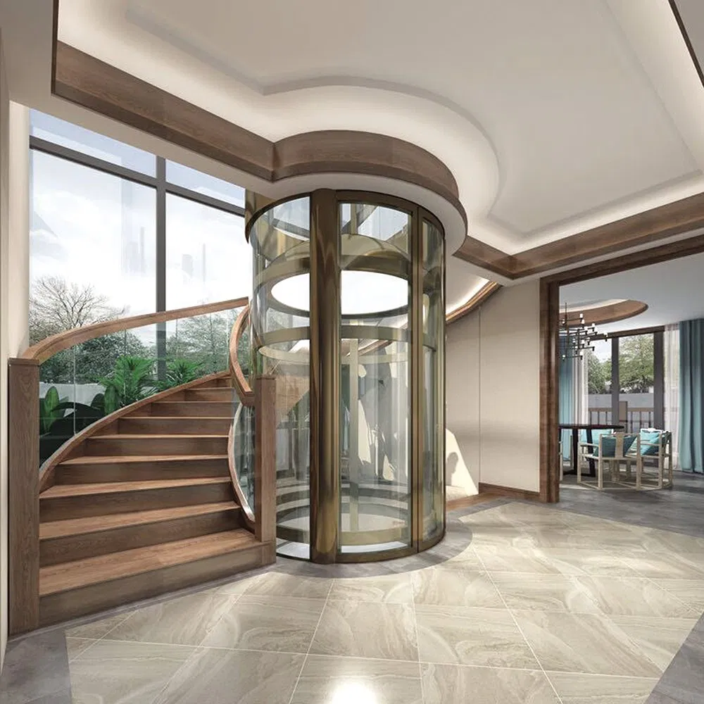 Luxury Panoramic Villa Elevator Indoor Outdoor 400kg~630kg Residential Home Elevator