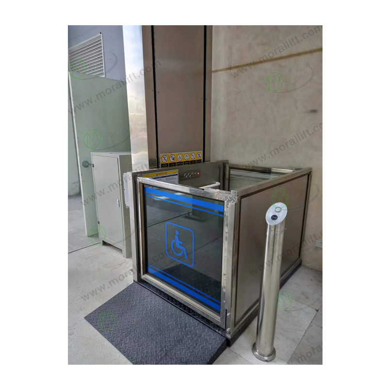 300kg Disabled Elevator Home Wheelchair Lift