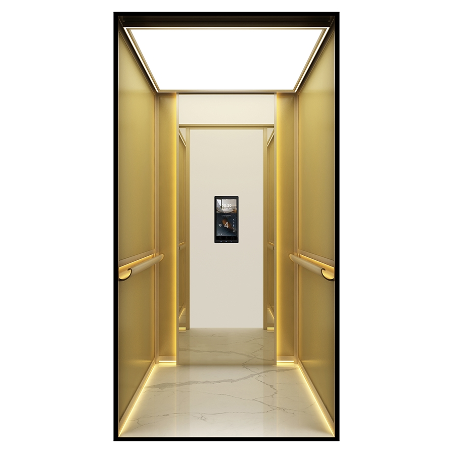 Low-Pit Machine-Room-Less Custom-Designed Car Home Villa Passenger Elevator