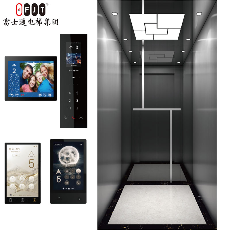 Fujithrough International Certified Home Lift with Small Shaftless Machine Roomless Features Apartment Use