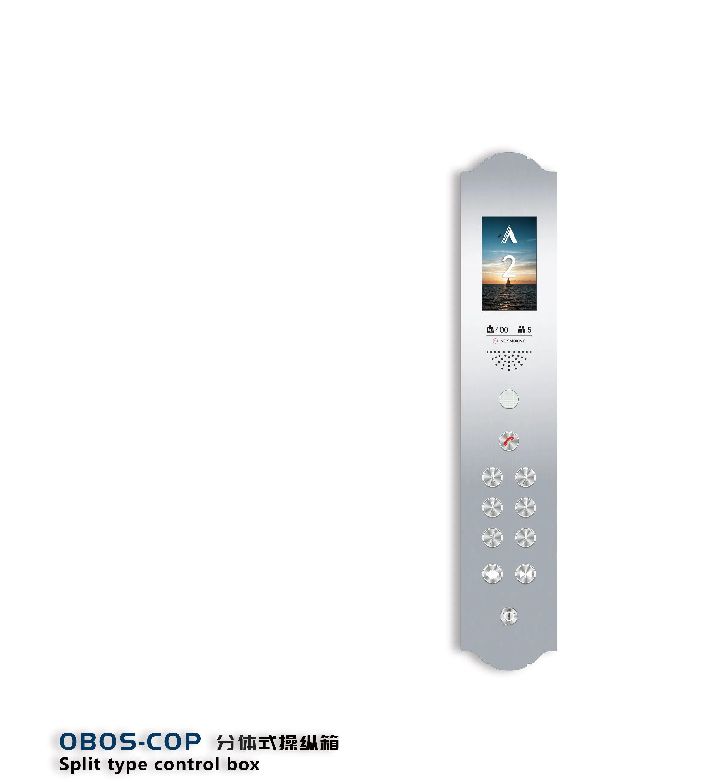 Low Pit Requirement Easy Maintenance Home Villa Sightseeing Residential Elevator