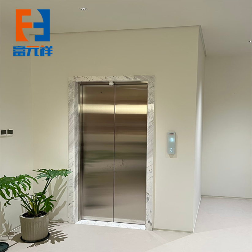 Low Maintenance Traction Gantry Crane Elevator Domestic Home Elevator for Villa