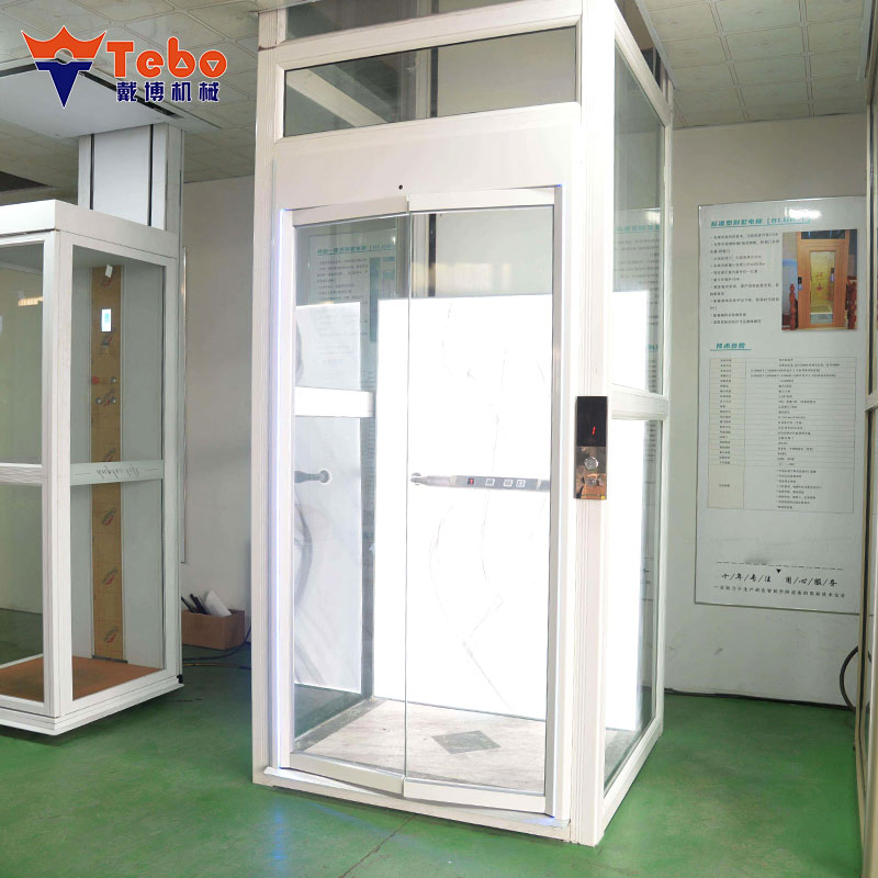 Small Shaftless Residential Hydraulic Ascensor for Modern House Passenger Lift