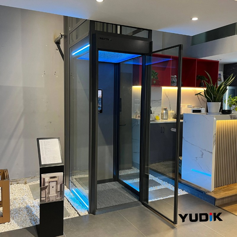 BV Approved Hydraulic Elevator for Old Home with Shallow Pit &amp; CE