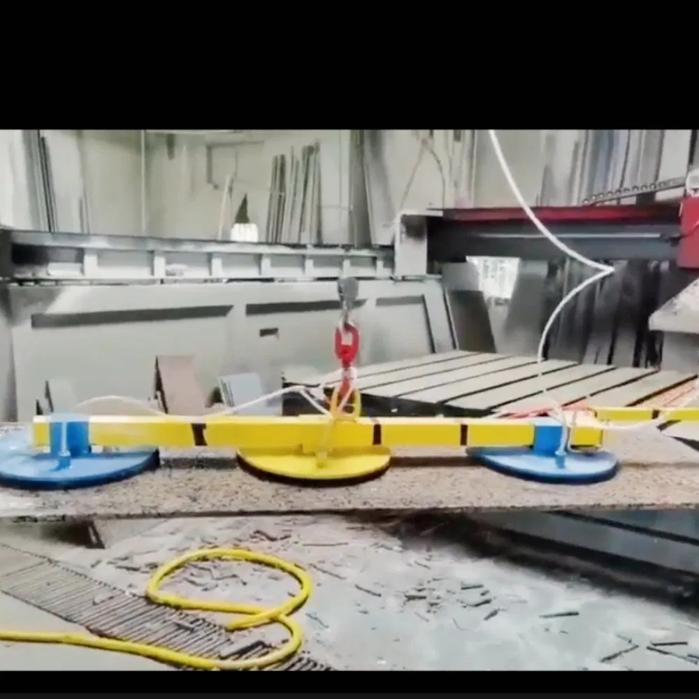 Customizable Pneumatic or Electric Vacuum Stone Loader Elevator