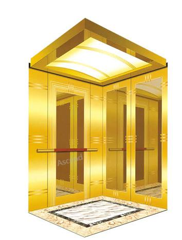 Comfortable and Safe Home Elevator with Low Pit for Panorama Elevator