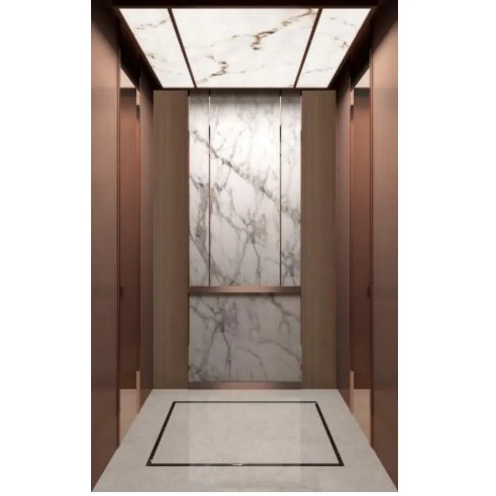 Smooth Lower Noise Passenger Lift Elevator CE Standard