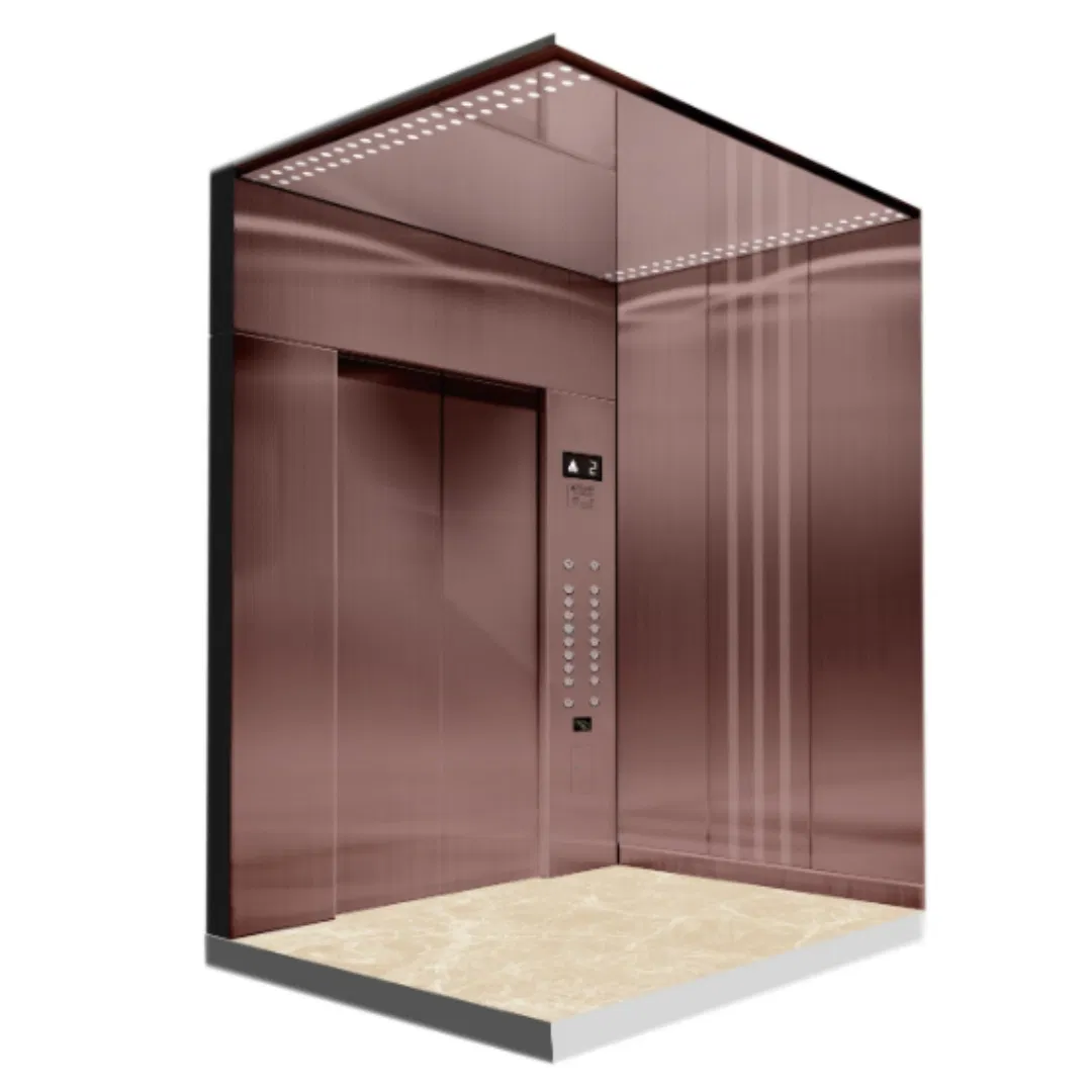 Highend Lift/Luxury Lift/Edunburgh Passenger Elevator China Lift, Suitable for Residence, School, Hotel, Villa