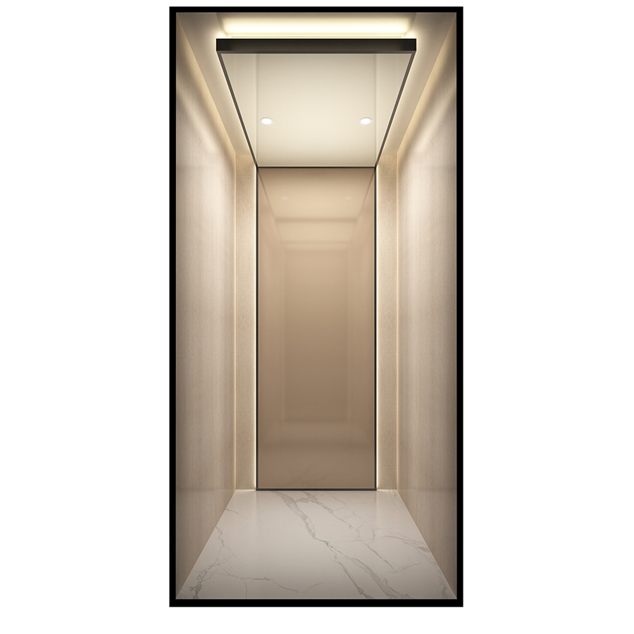 Space-Saving Machine-Room-Less Low-Pit Customized Design Home Villa Elevator