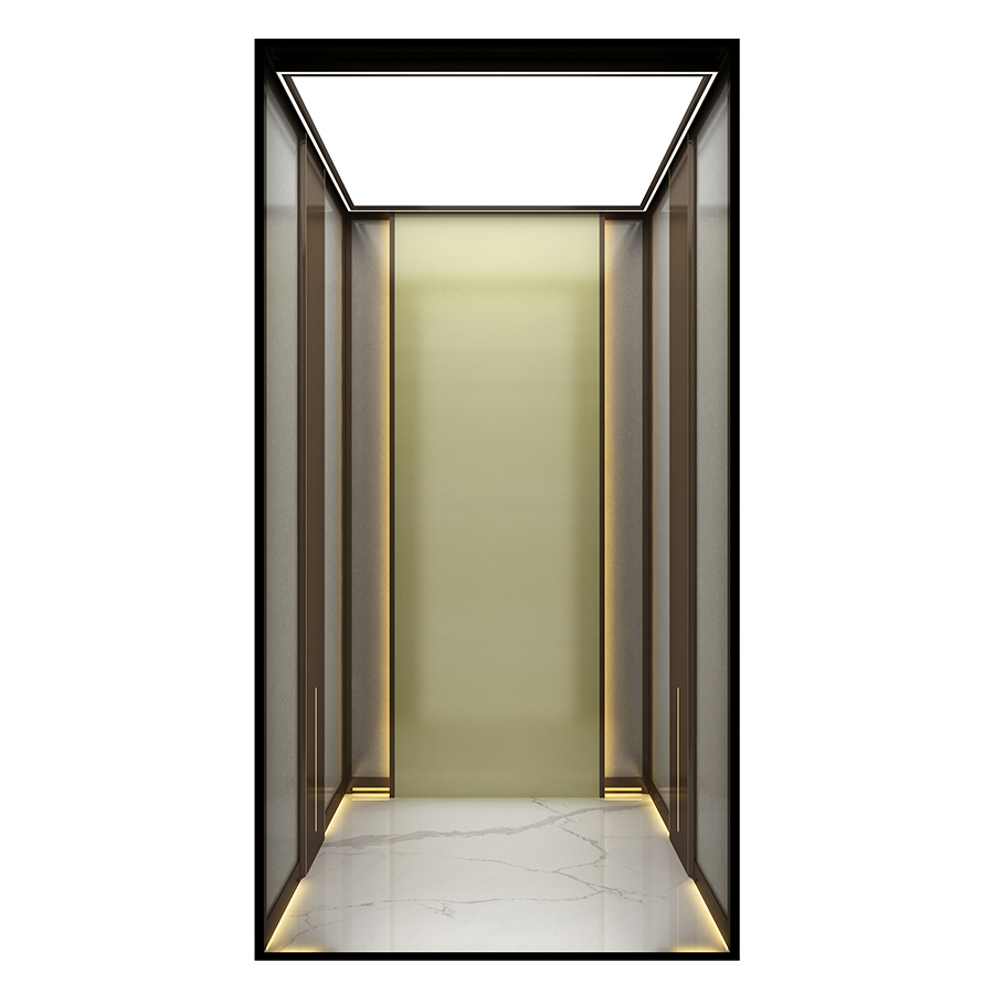 Low-Pit Machine-Room-Less Custom-Designed Car Home Villa Passenger Elevator