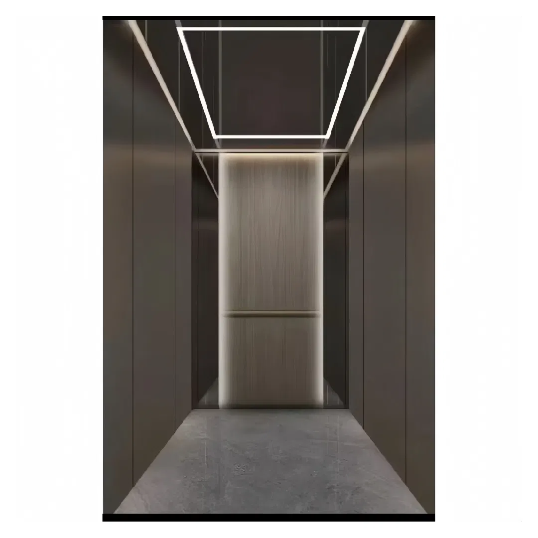 Fujivista Factory Price Pneumatic Vacuum Elevator Luxury Glass Home Lift for Modern Villa