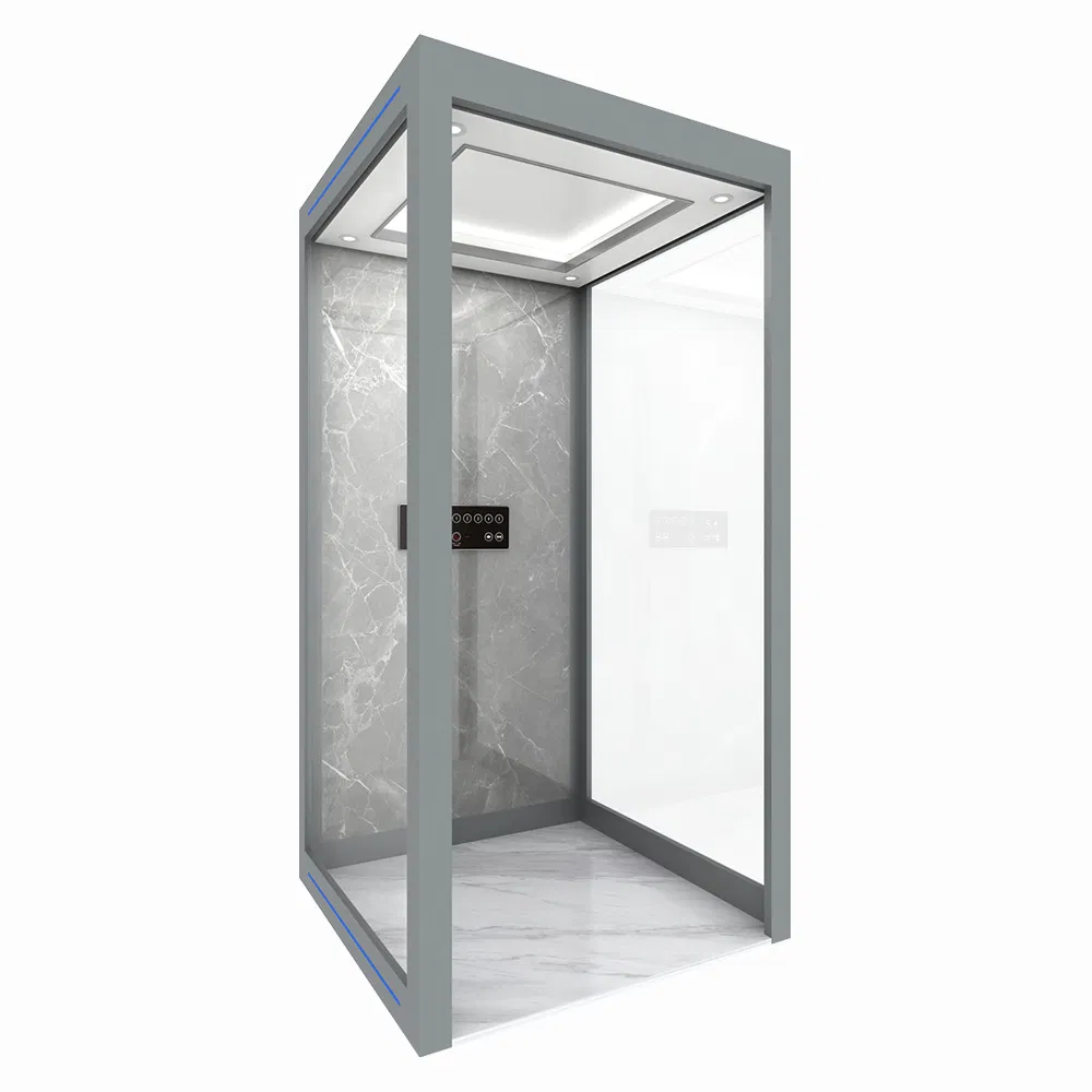 Custom Glass Carriage Home Villa Elevator with Panoramic View Quiet Operation Protection Features