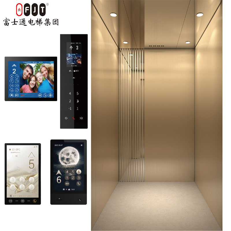 International Certified Home Lift with Small Shaftless Machine Room Features Home Use